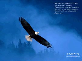 those who hope in the Lord christian wallpaper, christian background