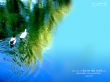 Details for the 'The Truth shall Set you Free' free image, background, wallpaper