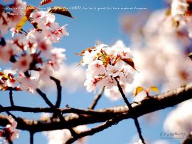 psalm 106:1 christian wallpaper, christian background