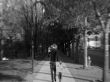 Details for the 'Father and sons walking' free image, background, wallpaper