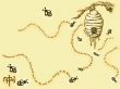 Details for the 'Honey Bee' free image, background, wallpaper