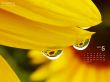 Details for the 'Sunflowers' free image, background, wallpaper