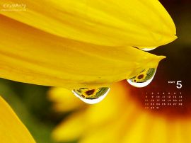 Sunflowers christian wallpaper, christian background