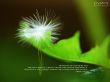 Details for the 'Good Soil' free image, background, wallpaper