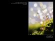Details for the 'Dew of your Youth' free image, background, wallpaper