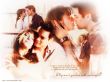 Details for the 'A Walk to Remember' free image, background, wallpaper