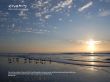 Details for the 'God's Invisble Qualities ' free image, background, wallpaper
