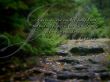 Details for the '1 John 1:9 ' free image, background, wallpaper