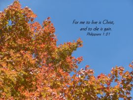 Details for 'Philippians 1:21'christian wallpaper, christian background