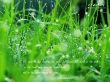 Details for the 'The Word of the Lord Is Eternal 2' free image, background, wallpaper