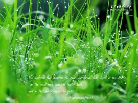 The Word of the Lord Is Eternal 2 christian wallpaper, christian background