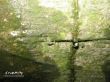 Details for the 'Water Droplet' free image, background, wallpaper
