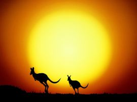Kangaroo christian wallpaper, christian background