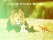 Details for the 'Lion and sheep' free image, background, wallpaper