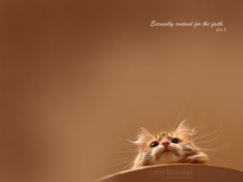Cat christian wallpaper, christian background