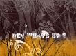 Details for the 'dirty' free image, background, wallpaper