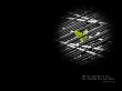 Details for the 'Leaf' free image, background, wallpaper