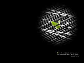 Leaf christian wallpaper, christian background