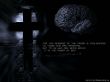 Details for the 'The Message of the Cross' free image, background, wallpaper