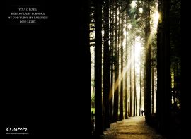 Way in Florest christian wallpaper, christian background