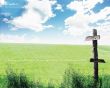 Details for the 'Field of the Imortality' free image, background, wallpaper