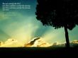 Details for the 'Sunshine Ps130:6' free image, background, wallpaper