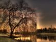 Details for the 'Sunday Morning' free image, background, wallpaper