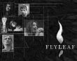 Details for the 'Flyleaf Faces' free image, background, wallpaper