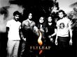 Details for the 'Flyleaf P&B' free image, background, wallpaper