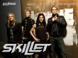 Details for the 'Skillet' free image, background, wallpaper