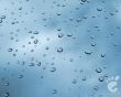 Details for the 'After The Rain' free image, background, wallpaper