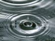 Details for the 'Rain drops' free image, background, wallpaper