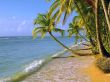 Details for the 'Beach and sea' free image, background, wallpaper