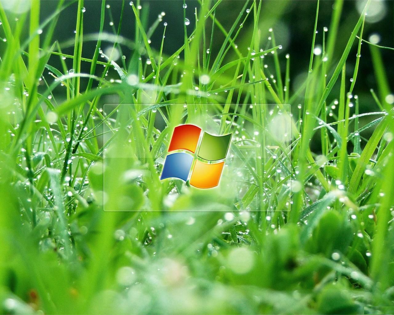 Christian wallpaper Vista green