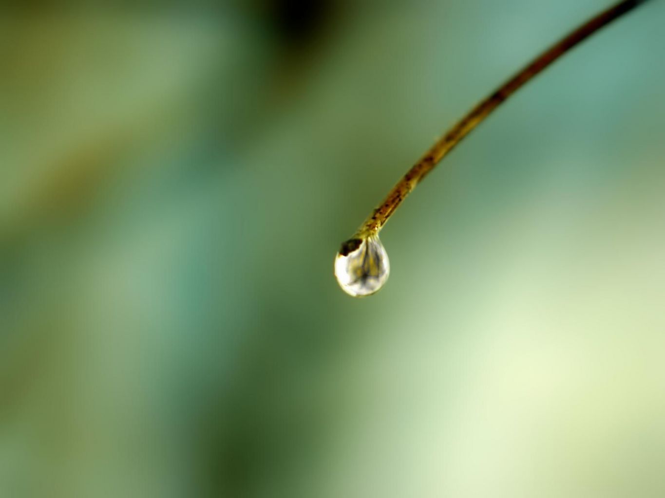 Christian wallpaper Water drop