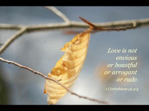 1 Corinthians 13:4-5 – What is Love? Wallpaper