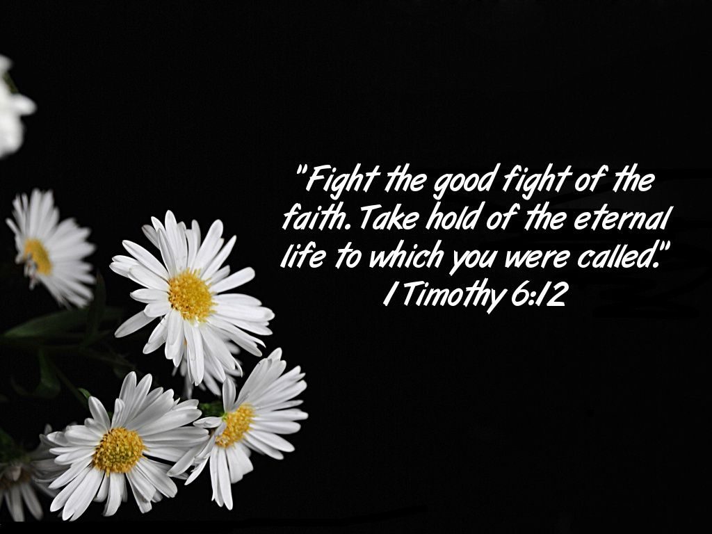 1 Timothy 6:12 – Eternal Life christian wallpaper free download. Use on PC, Mac, Android, iPhone or any device you like.