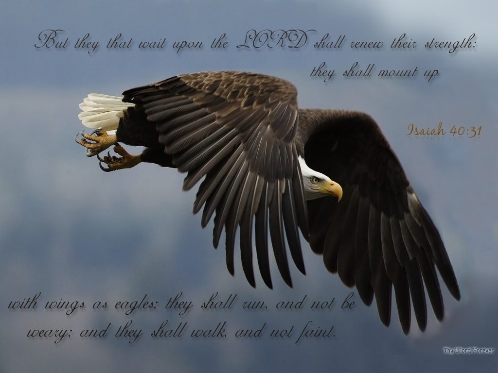 Isaiah 40:31 – Like Eagles christian wallpaper free download. Use on PC, Mac, Android, iPhone or any device you like.