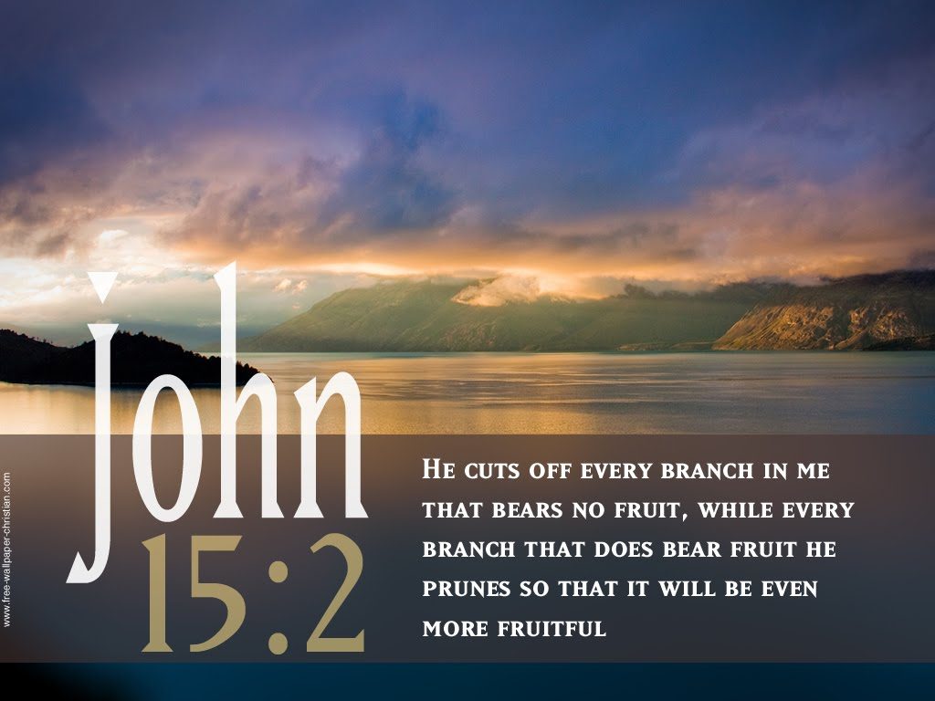 John 15:2 – Fruitful christian wallpaper free download. Use on PC, Mac, Android, iPhone or any device you like.