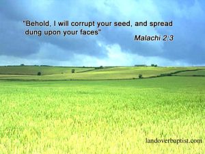 Malachi 2:3 – Because of You Wallpaper