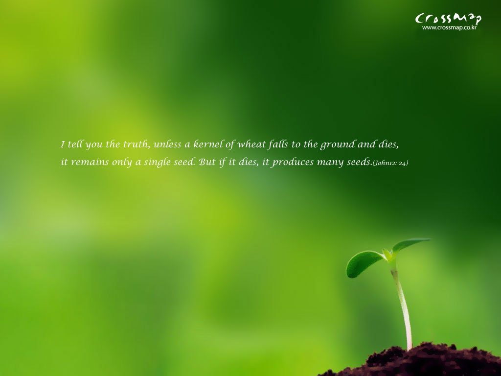 John 12:24 – Seeds christian wallpaper free download. Use on PC, Mac, Android, iPhone or any device you like.