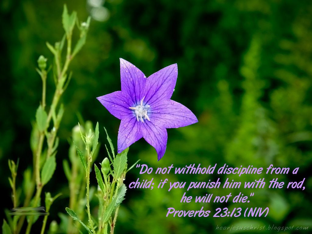 Proverbs 23:13 – Discipline christian wallpaper free download. Use on PC, Mac, Android, iPhone or any device you like.