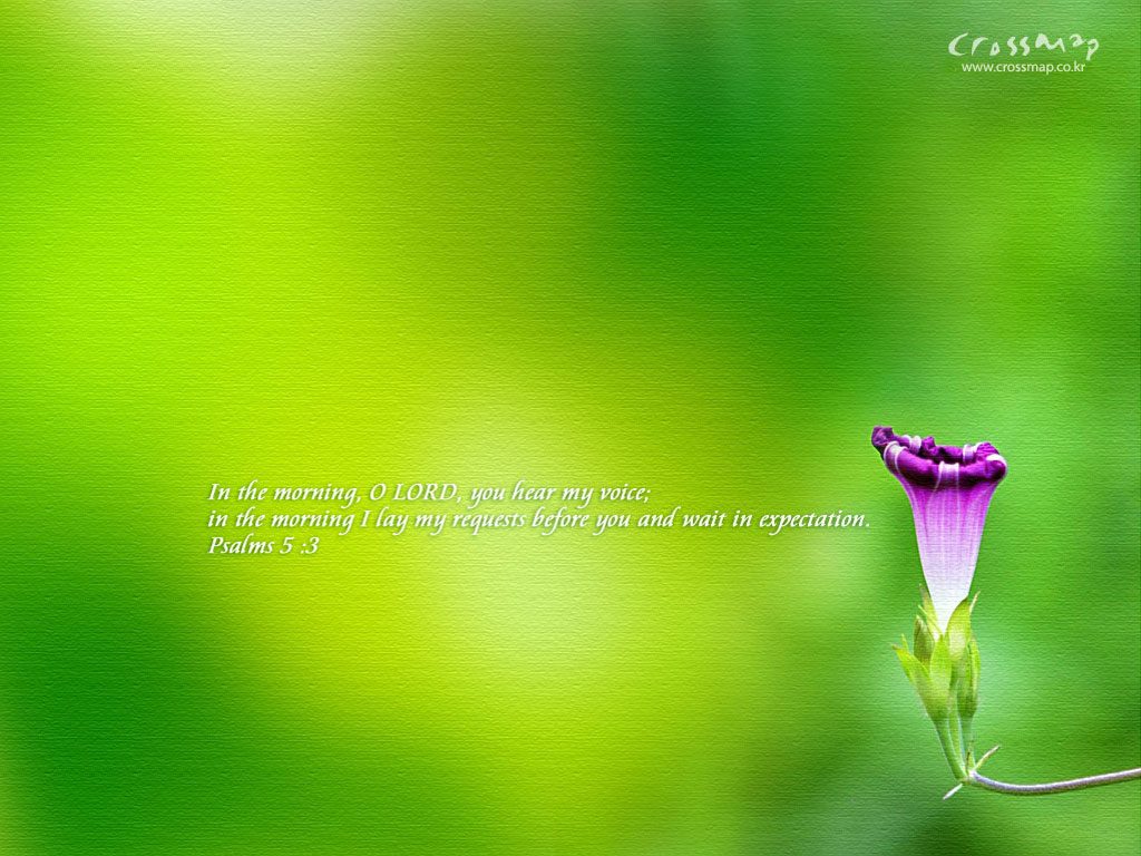 Psalm 5:3 – In The Morning christian wallpaper free download. Use on PC, Mac, Android, iPhone or any device you like.