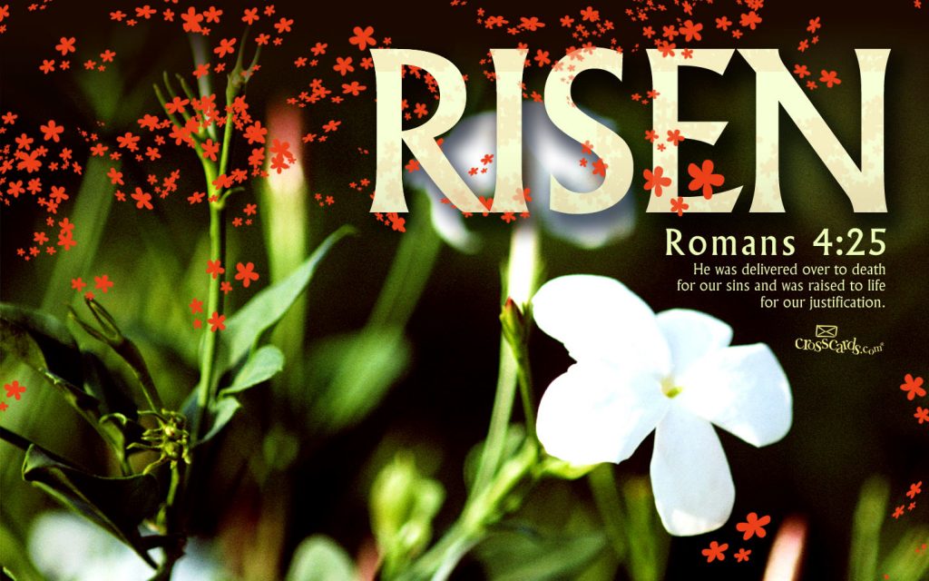 Romans 4:25 – Raised To Life christian wallpaper free download. Use on PC, Mac, Android, iPhone or any device you like.