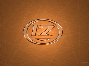 Christian Band: 12 Stone Logo in Brown Wallpaper