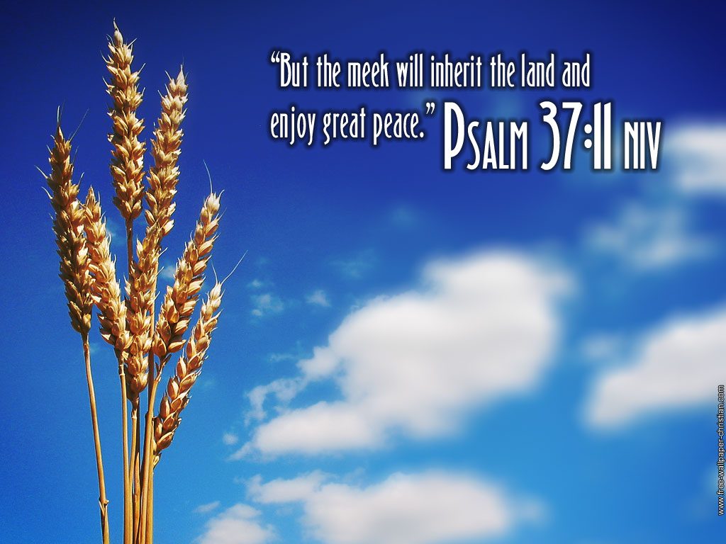 Psalm 37:11 – Great Peace christian wallpaper free download. Use on PC, Mac, Android, iPhone or any device you like.