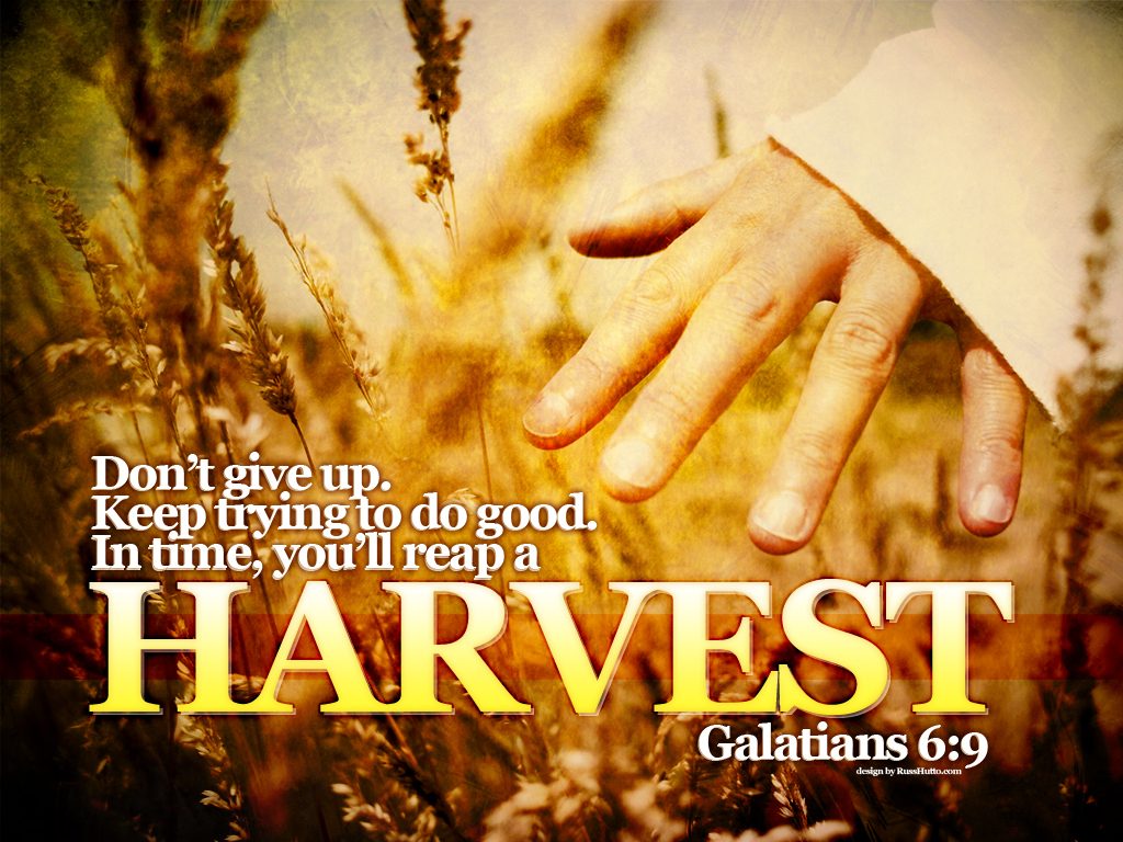 Galatians 6:9 – Do Good christian wallpaper free download. Use on PC, Mac, Android, iPhone or any device you like.