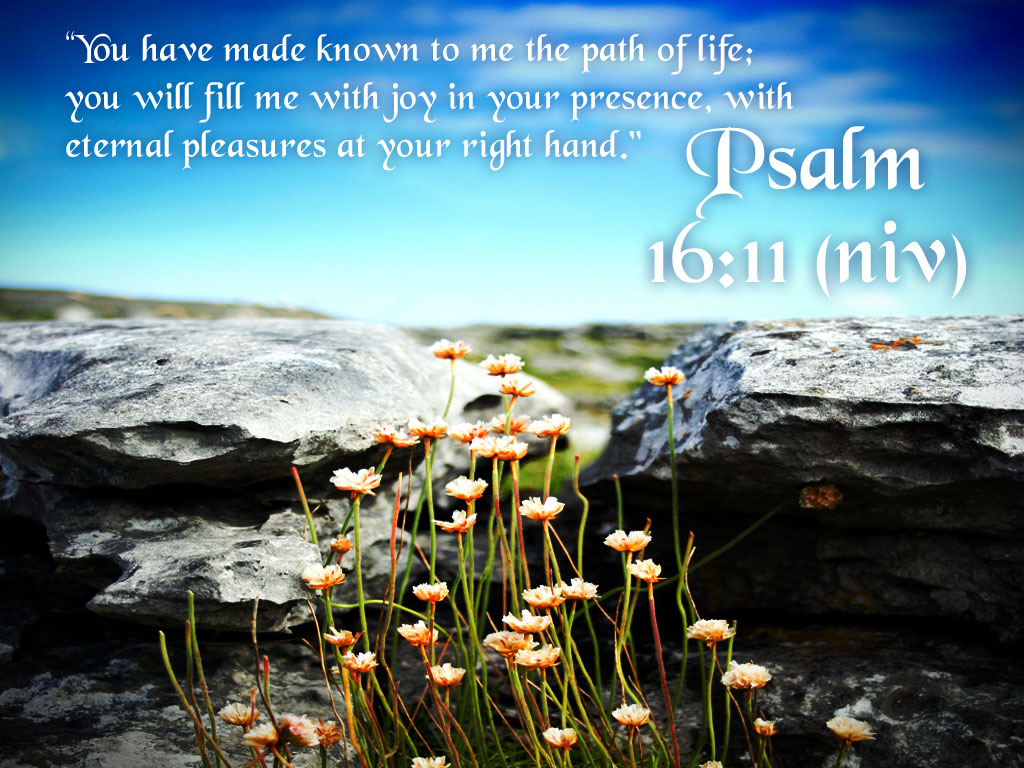 Psalm 16:11 – Path Of Life christian wallpaper free download. Use on PC, Mac, Android, iPhone or any device you like.