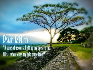 Psalm 121:1 – Where Does My Help Come From? Wallpaper