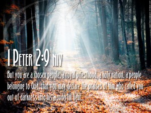 1 Peter 2:9 – God Called Us Out Of Darkness Wallpaper
